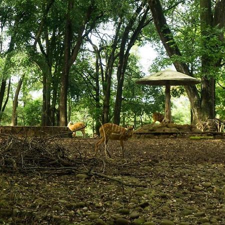 Arimbi Pejaten Suites Jakarta Luaran gambar